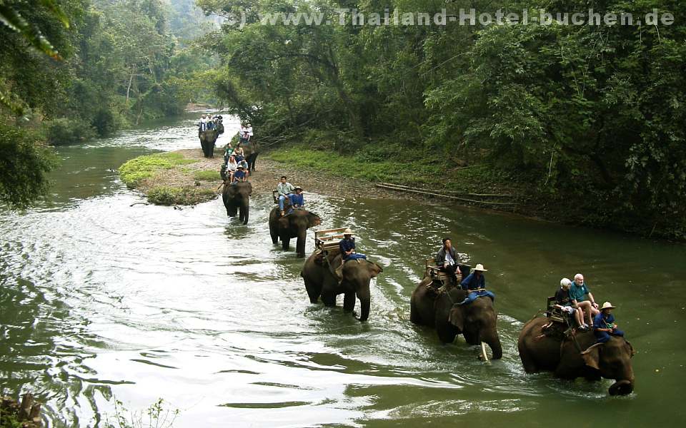 Foto: Chiang Dao Elefant Trekking (North Thailand)