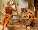 Foto: Tiger Tempel Kanchanaburi (Thailand)